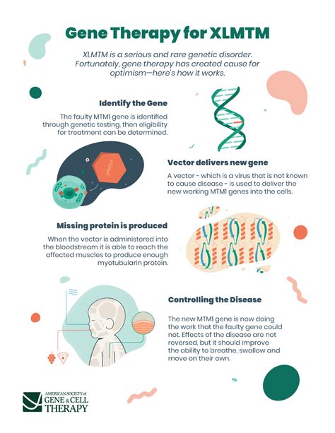 [Gene therapy of x